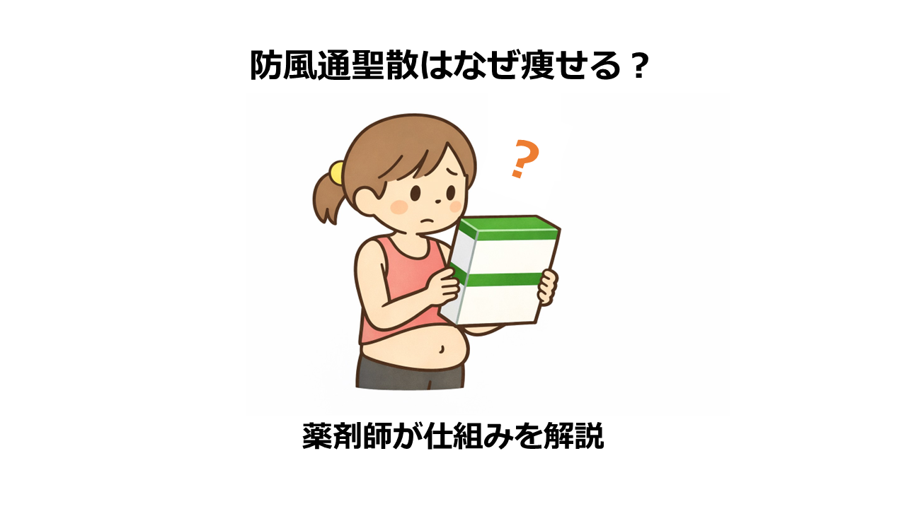 防風通聖散はなぜダイエットに使われる？薬剤師が仕組みを解説