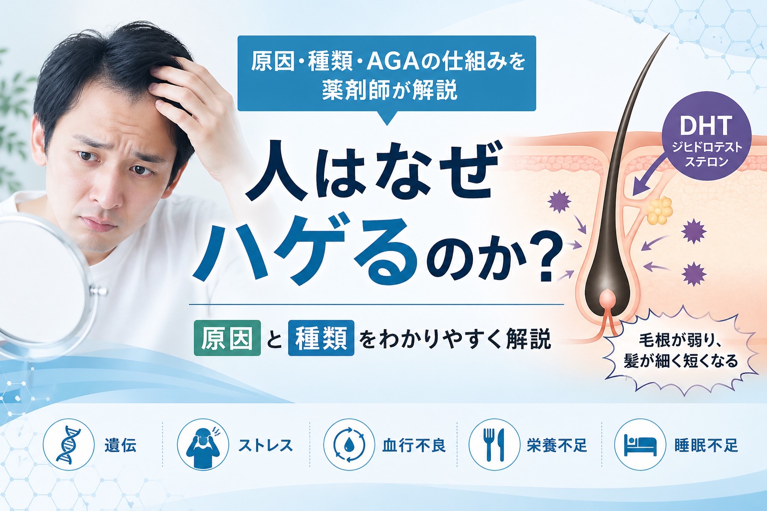 人はなぜハゲるのか？原因・種類・AGAの仕組みを薬剤師が解説