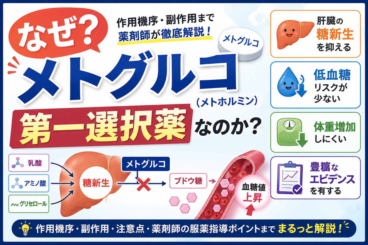 なぜメトグルコ（メトホルミン）は2型糖尿病の第一選択薬なのか？作用機序・副作用を薬剤師が解説