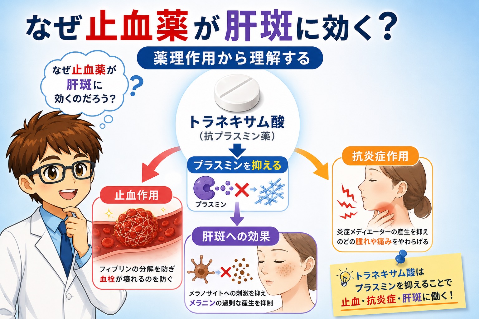 なぜトラネキサム酸が肝斑に効く？薬理作用から理解する止血・抗炎症・肝斑への効果